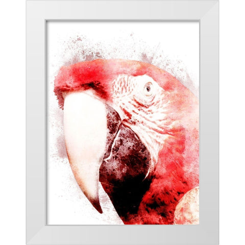 Marvelous Macaw 3 White Modern Wood Framed Art Print by Prime, Marcus