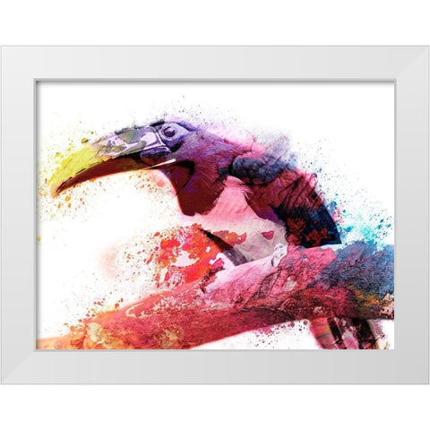 Marvelous Tucan White Modern Wood Framed Art Print by Prime, Marcus