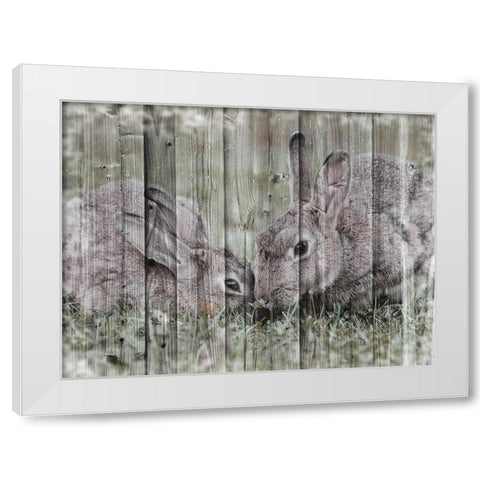 Loving Bunnies White Modern Wood Framed Art Print by Prime, Marcus