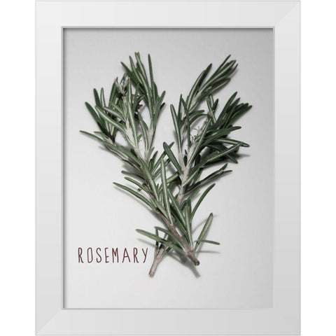 Time-Honored Rosemary 1 White Modern Wood Framed Art Print by Prime, Marcus
