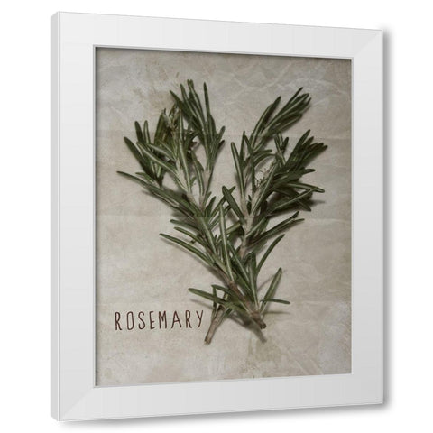 Time-Honored Rosemary 2 White Modern Wood Framed Art Print by Prime, Marcus