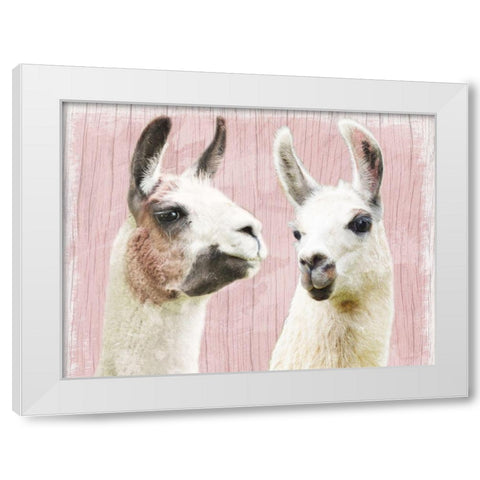 Llama Love White Modern Wood Framed Art Print by Prime, Marcus
