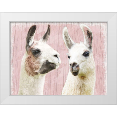 Llama Love White Modern Wood Framed Art Print by Prime, Marcus