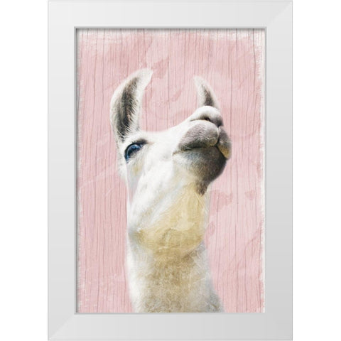 Llama Love 2 White Modern Wood Framed Art Print by Prime, Marcus