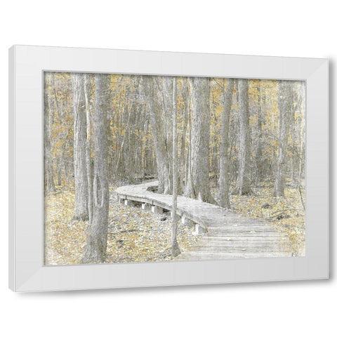Autumn Stroll White Modern Wood Framed Art Print by Prime, Marcus