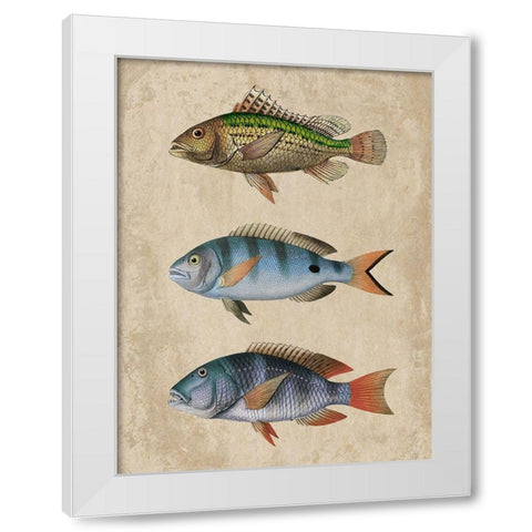 Fish Friends 1 White Modern Wood Framed Art Print by Prime, Marcus