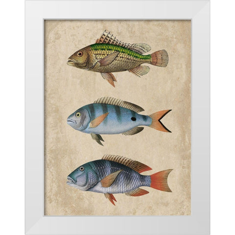 Fish Friends 1 White Modern Wood Framed Art Print by Prime, Marcus