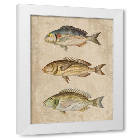 Fish Friends 2 White Modern Wood Framed Art Print by Prime, Marcus