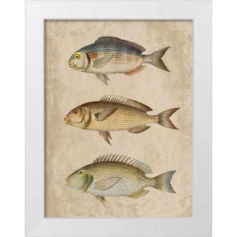 Fish Friends 2 White Modern Wood Framed Art Print by Prime, Marcus