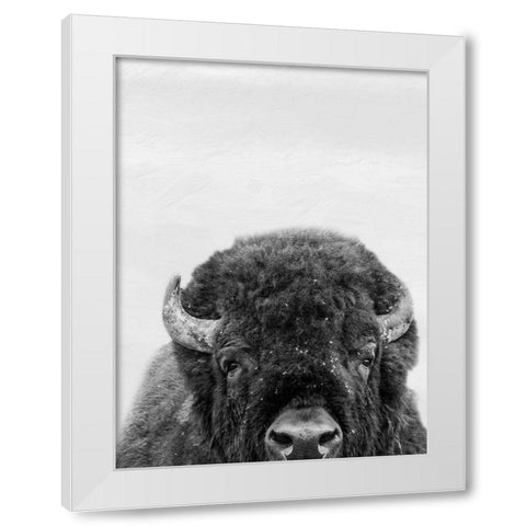 M Bison White Modern Wood Framed Art Print by Prime, Marcus