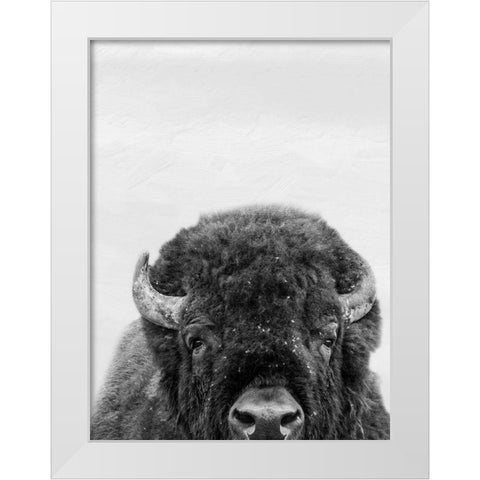 M Bison White Modern Wood Framed Art Print by Prime, Marcus