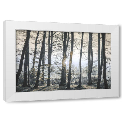 Peaceful Shine White Modern Wood Framed Art Print by Prime, Marcus