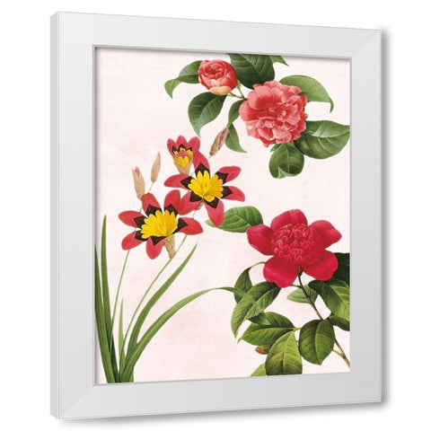 Botanical Fusion White Modern Wood Framed Art Print by Prime, Marcus