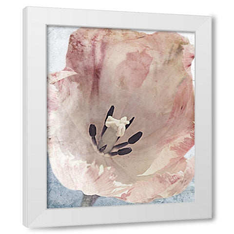 Sweet Power 1 White Modern Wood Framed Art Print by Prime, Marcus