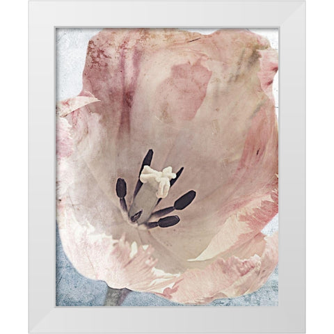 Sweet Power 1 White Modern Wood Framed Art Print by Prime, Marcus