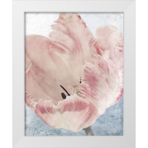 Sweet Power 2 White Modern Wood Framed Art Print by Prime, Marcus