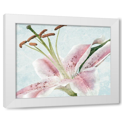 Lily Love 1 White Modern Wood Framed Art Print by Prime, Marcus