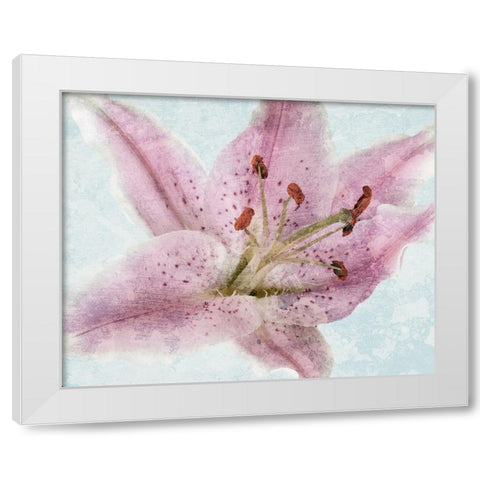 Lily Love 2 White Modern Wood Framed Art Print by Prime, Marcus