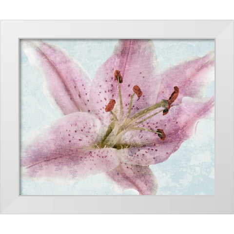 Lily Love 2 White Modern Wood Framed Art Print by Prime, Marcus