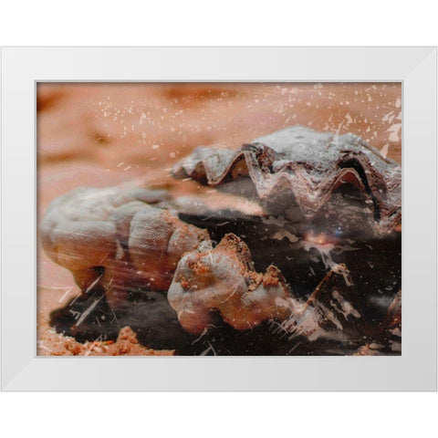 Shiny Oyster 1 White Modern Wood Framed Art Print by Prime, Marcus