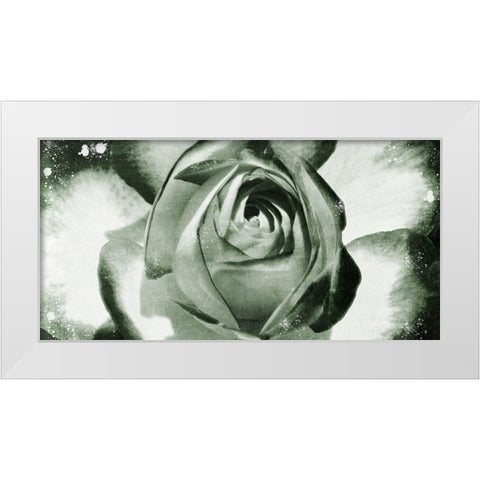 Floral Droplets White Modern Wood Framed Art Print by Prime, Marcus