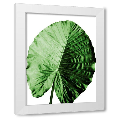 Vacation Desires 4 White Modern Wood Framed Art Print by Prime, Marcus