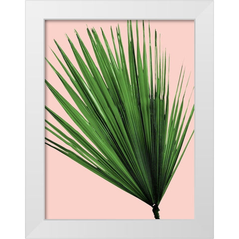 Dawning Desires 4 White Modern Wood Framed Art Print by Prime, Marcus
