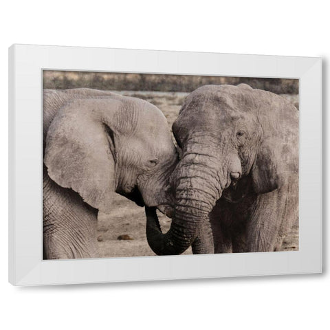 African Embrace White Modern Wood Framed Art Print by Prime, Marcus