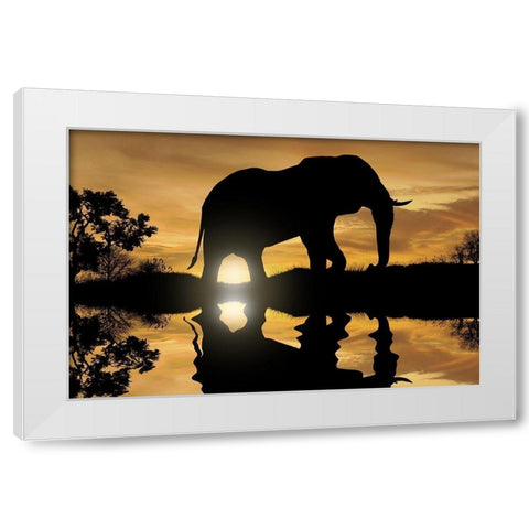 Calming Walk 1 White Modern Wood Framed Art Print by Prime, Marcus