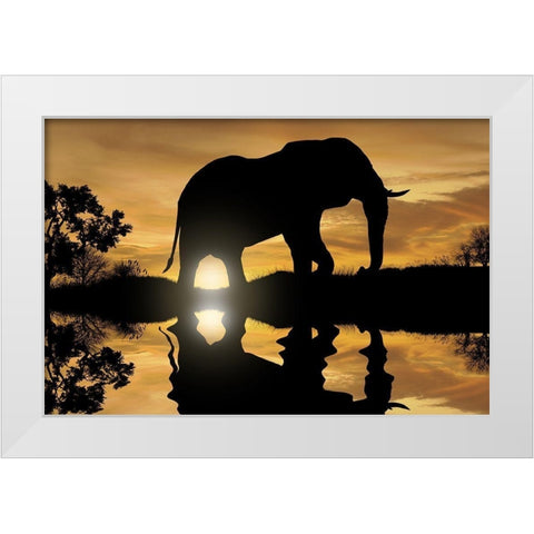 Calming Walk 1 White Modern Wood Framed Art Print by Prime, Marcus