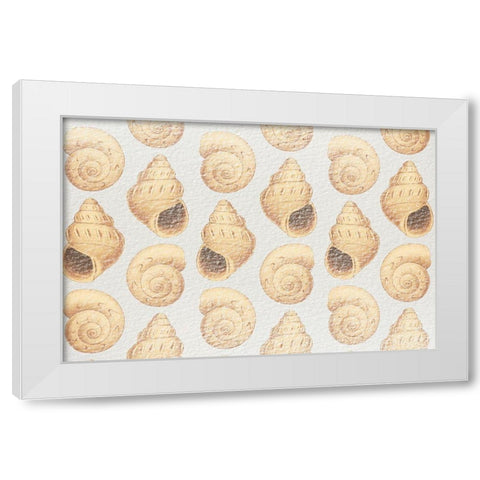 Flowing Shells 1 White Modern Wood Framed Art Print by Prime, Marcus