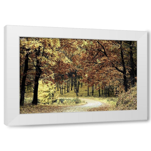 Wilderness Walk 1 White Modern Wood Framed Art Print by Prime, Marcus