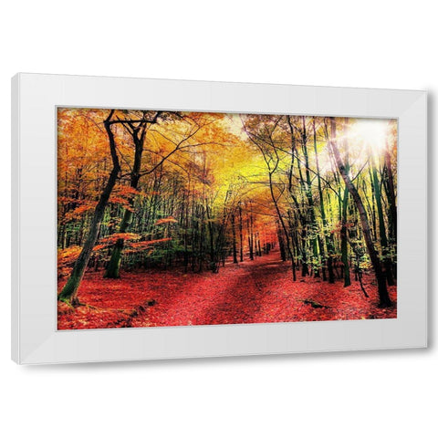 Hansels Adventure 1 White Modern Wood Framed Art Print by Prime, Marcus