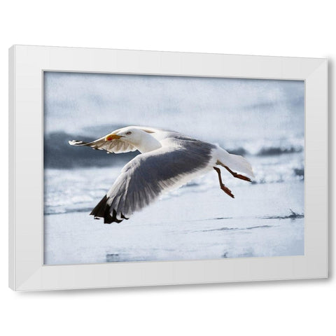 Fly Free 2 White Modern Wood Framed Art Print by Prime, Marcus