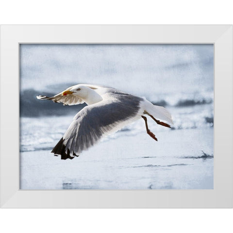 Fly Free 2 White Modern Wood Framed Art Print by Prime, Marcus