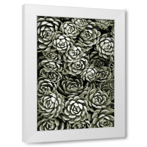 Botanical Farm 1 White Modern Wood Framed Art Print by Prime, Marcus