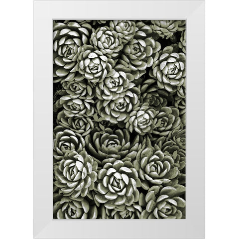 Botanical Farm 1 White Modern Wood Framed Art Print by Prime, Marcus