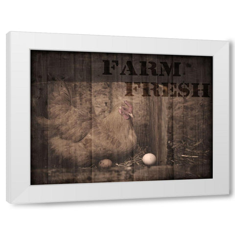 Farm Fresh Chicken 1 White Modern Wood Framed Art Print by Prime, Marcus