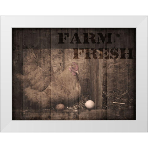 Farm Fresh Chicken 1 White Modern Wood Framed Art Print by Prime, Marcus