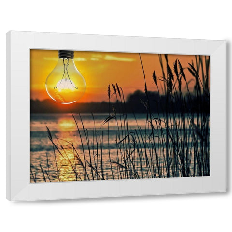 Morning Light 1 White Modern Wood Framed Art Print by Prime, Marcus