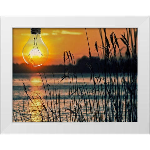 Morning Light 1 White Modern Wood Framed Art Print by Prime, Marcus
