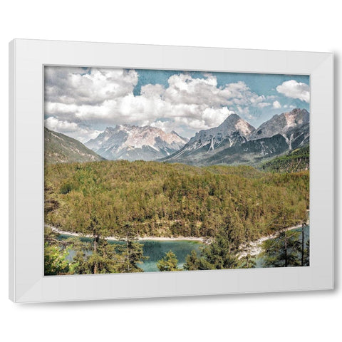 Wilderness Wonders 2 White Modern Wood Framed Art Print by Prime, Marcus