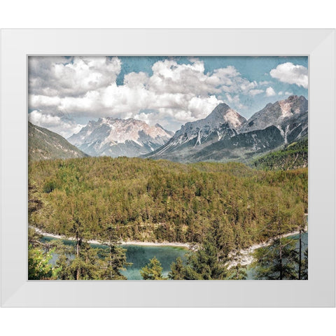 Wilderness Wonders 2 White Modern Wood Framed Art Print by Prime, Marcus