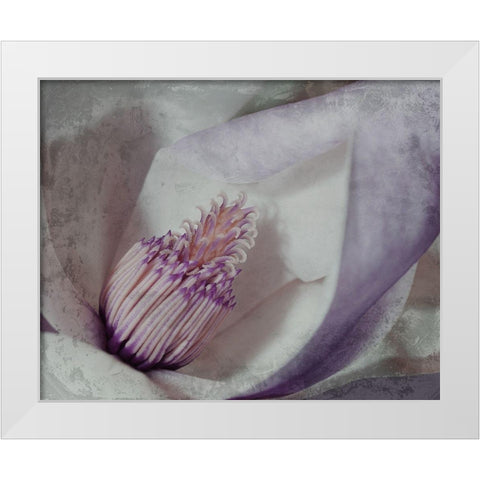 Lavender Explosion 4 White Modern Wood Framed Art Print by Prime, Marcus