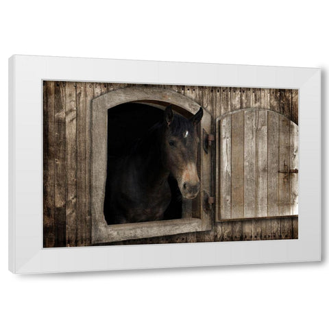 Loving Peek 1 White Modern Wood Framed Art Print by Prime, Marcus