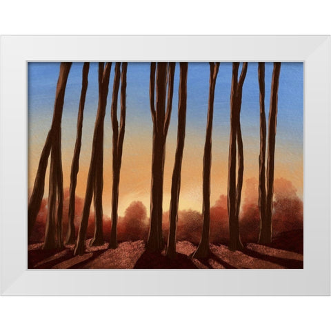 Creeping Shadows 1 White Modern Wood Framed Art Print by Prime, Marcus