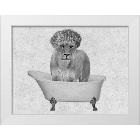 Bathing Lioness 2 White Modern Wood Framed Art Print by Prime, Marcus
