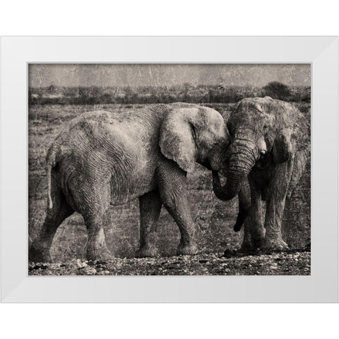 Massive Affection White Modern Wood Framed Art Print by Prime, Marcus