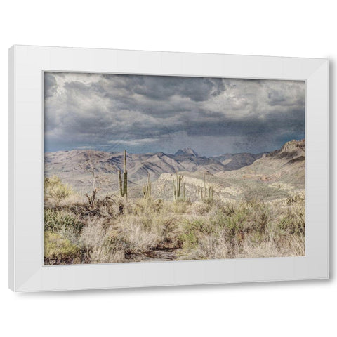 Desert Oasis White Modern Wood Framed Art Print by Prime, Marcus