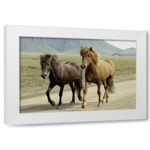 Buddy Gallop White Modern Wood Framed Art Print by Prime, Marcus